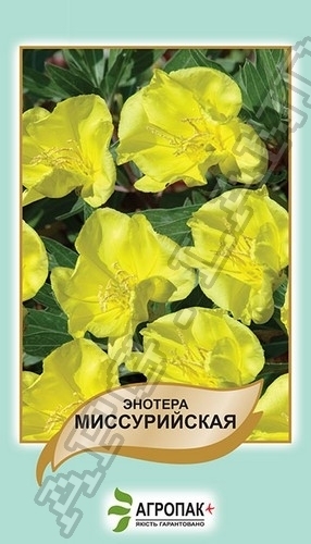 Энотера миссурийская Желтая – 0,1 гр.