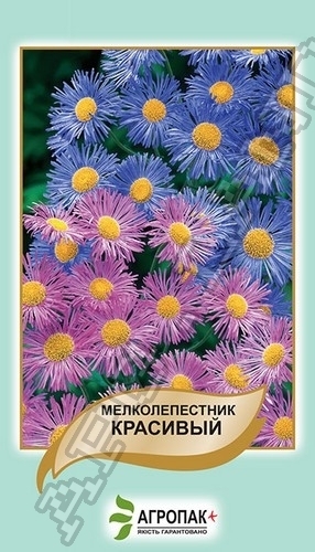 Эригерон Мелколепестник красивый, смесь - 0,1 гр.