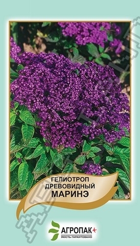 Гелиотр. дерево Марино 0,01г А Гелиотр. дерево Марино 0,01г А