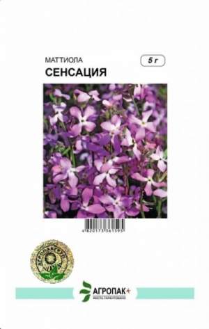 Матиола дворога Сенсация 5г А Матиола дворога Сенсация 5г А