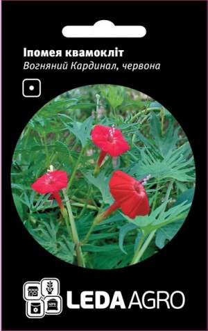 Ипомея Огненный Кардинал, красный 0,5 г Л Ипомея Огненный Кардинал, красный 0,5 г Л