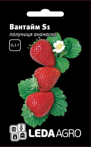 Клубника ананасная Вантайм S1 0,02г. L Клубника ананасная Вантайм S1 0,02г. L