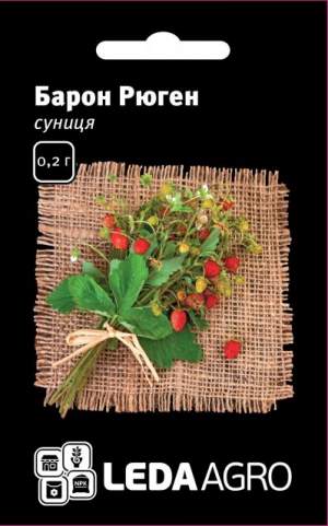Земляника Барон Рюген 0,2г. L Земляника Барон Рюген 0,2г. L