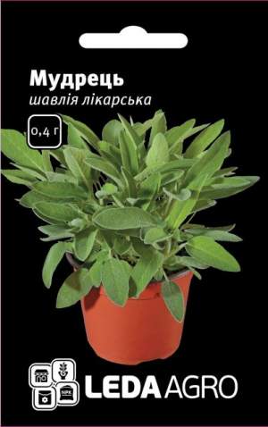Шалфей Мудрец (лекарственный) 0,4г. L Шалфей Мудрец (лекарственный) 0,4г. L