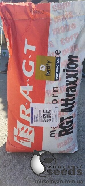 Кукуруза RGT Атраксион/Attraxxion (ФАО 270) мешок 1 посевная ед. Кукуруза RGT Атраксион/Attraxxion (ФАО 270) мешок 1 посевная ед.
