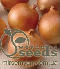 Лук МУЗА F1 (MUSA F1) 250 000 семян. Cora Seeds Лук МУЗА F1 (MUSA F1) 250 000 семян. Cora Seeds