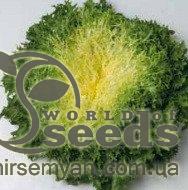 Салат Парманс 5000 семян. (Enza Zaden) Салат Парманс 5000 семян. (Enza Zaden)