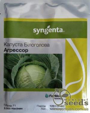 Капуста Агрессор F1 2500 семян. Syngenta Капуста Агрессор F1 2500 семян. Syngenta