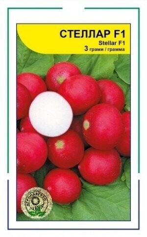 Редис Стеллар F1 3г А Редис Стеллар F1 3г А
