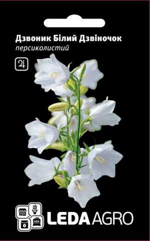 Колокольчик Белый Колокольчик, персиколистный 0,1г. L Колокольчик Белый Колокольчик, персиколистный 0,1г. L