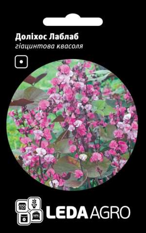 Долихос Лаблаб, фиолетовый (гиацинтовая фасоль) 1г. L Долихос Лаблаб, фиолетовый (гиацинтовая фасоль) 1г. L
