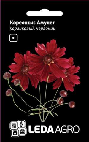 Кореопсис Красный Амулет, карликовый 0,2г. L Кореопсис Красный Амулет, карликовый 0,2г. L
