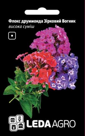 Флокс друмонда Звездный Огонек, 0,2г. L Флокс друмонда Звездный Огонек, 0,2г. L
