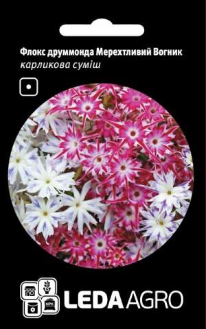 Флокс друмонда Мерцающий Огонек, 0,2г. L Флокс друмонда Мерцающий Огонек, 0,2г. L
