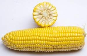 Кукуруза GSS 3071 (ГСС3071) F1 100 000 семян. (Syngenta) Кукуруза GSS 3071 (ГСС3071) F1 100 000 семян. (Syngenta)