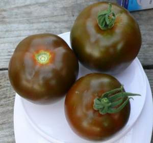 Помидоры Мавр F1 250 семян. (Lark Seeds)