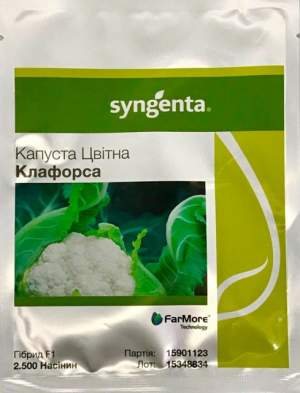 Капуста цветная Клафорса F1 2 500 семян. (Syngenta) Капуста цветная Клафорса F1 2 500 семян. (Syngenta)