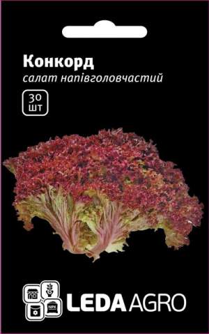 Салат Конкорд 30 семян. L Салат Конкорд 30 семян. L