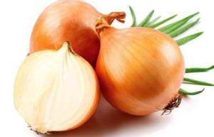 Лук Кенди F1 – 20 г А (Seminis) Лук Кенди F1 – 20 г А (Seminis)