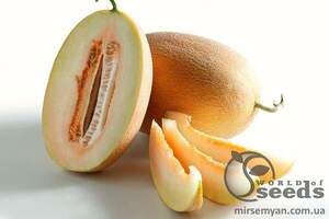 Диня Делано F1 1000 нас. Nunhems