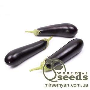 Баклажан Бріджит F1,  100 нас. (Rijk Zwaan)