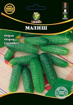 Огірок Огірок