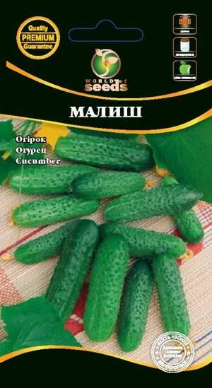 Огірок Огірок