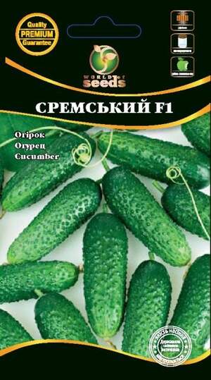 Огірок Огірок