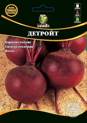 Насіння буряка столового Насіння буряка столового