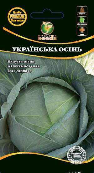 Капуста білокачанна пізня 