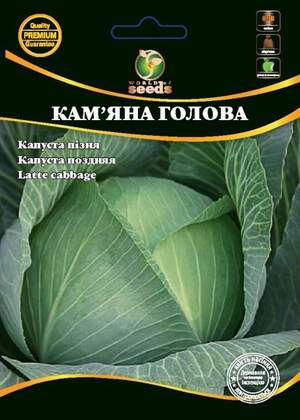 Капуста Капуста
