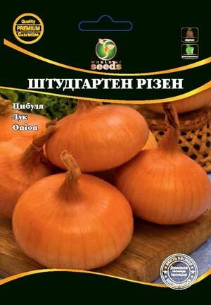 Насіння Лука Насіння Лука