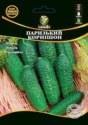 Огірок Огірок