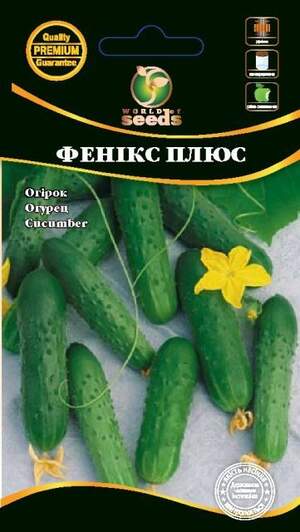 Огірок Огірок