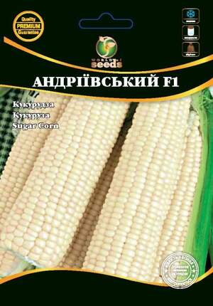 Кукурудза Кукурудза