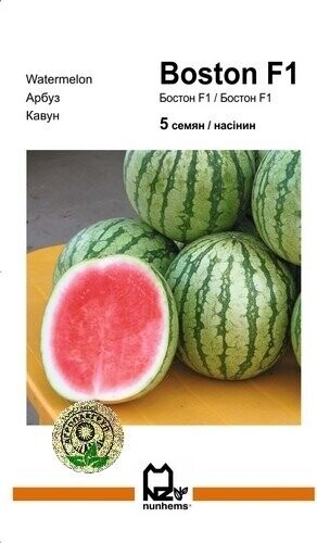 Кавун Кавун