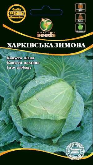 Капуста білокачанна пізня Капуста білокачанна пізня