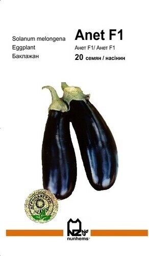 Баклажан Баклажан