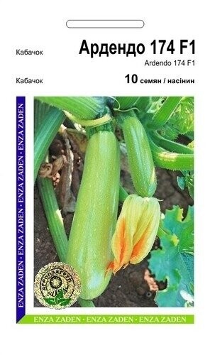 Насіння кабачка-цукіні Насіння кабачка-цукіні