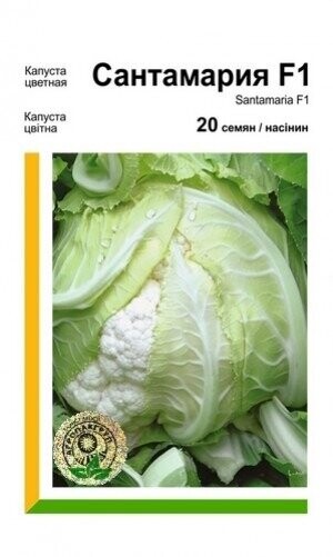 Капуста цвітна «Сантамарія» F1 20 насінин. А Рік Цваан, (Rijk Zwaan) Капуста цвітна «Сантамарія» F1 20 насінин. А Рік Цваан, (Rijk Zwaan)