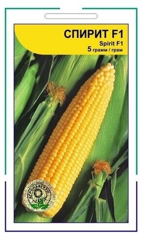 Кукурудза цукрова Спіріт F1 5 гр А (Syngenta) Кукурудза цукрова Спіріт F1 5 гр А (Syngenta)