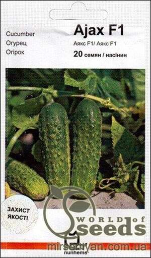 Огірок Огірок