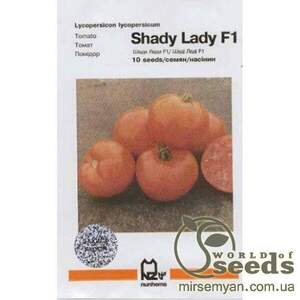 Томат «Шеді Леді» F1 10 насінин, Нунемс (Nunhems)