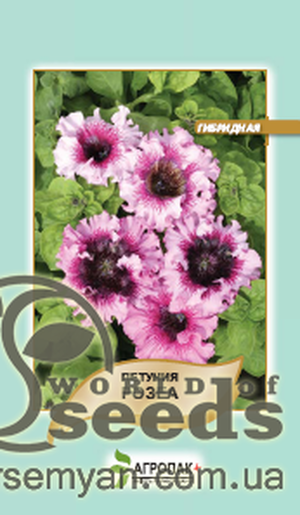 Петунія гібридна чудова Петунія гібридна чудова