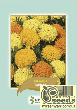 Насіння чорнобривців прямостояче Насіння чорнобривців прямостояче