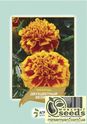 Насіння чорнобривців відхилене „Двоколірний Велетень” 5 г А Насіння чорнобривців відхилене „Двоколірний Велетень” 5 г А