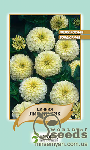 Насіння цинні витончене Насіння цинні витончене