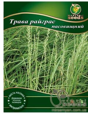 Насіння Насіння