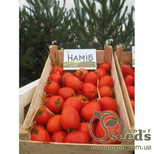 Томат Наміб F1 500 нас.  (Syngenta)