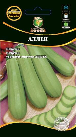 Кабачок Кабачок